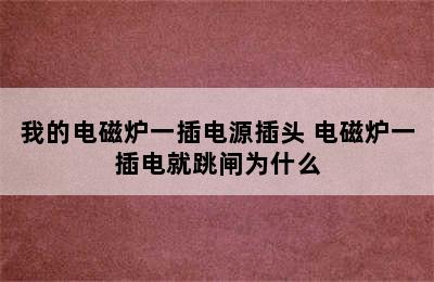 我的电磁炉一插电源插头 电磁炉一插电就跳闸为什么